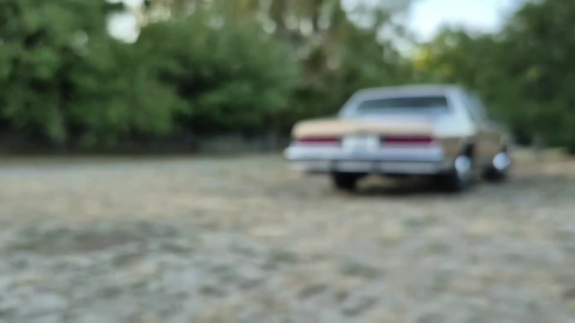 Chevrolet Caprice driving cruise preview